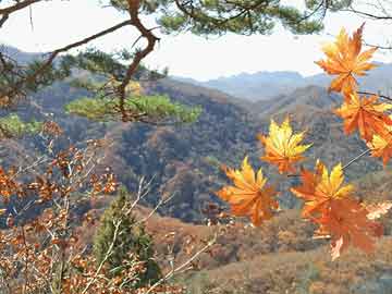 太原市人事考试中心网站（太原市人力资源考试网）